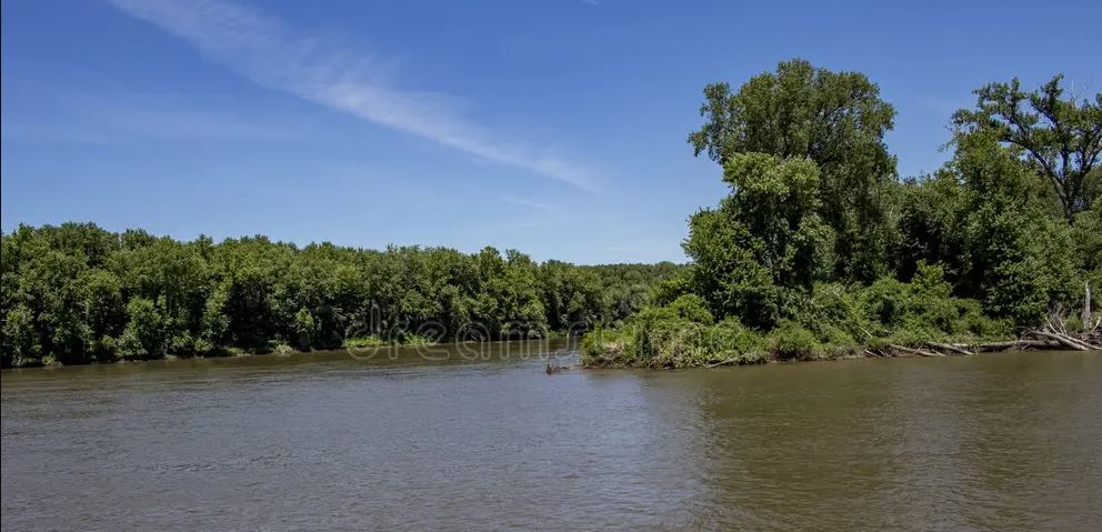 Bords du fleuve Mississippi