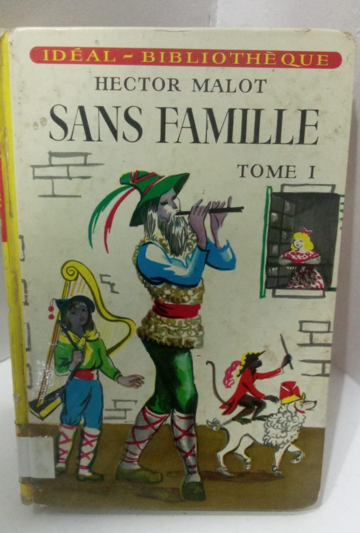 Sans famille / tome 1